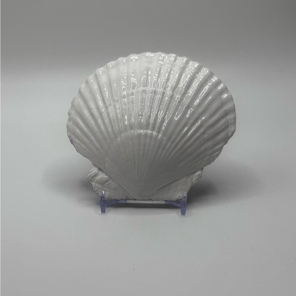 Colorful Lighthouse Painted Shell - Picture 5 of 5